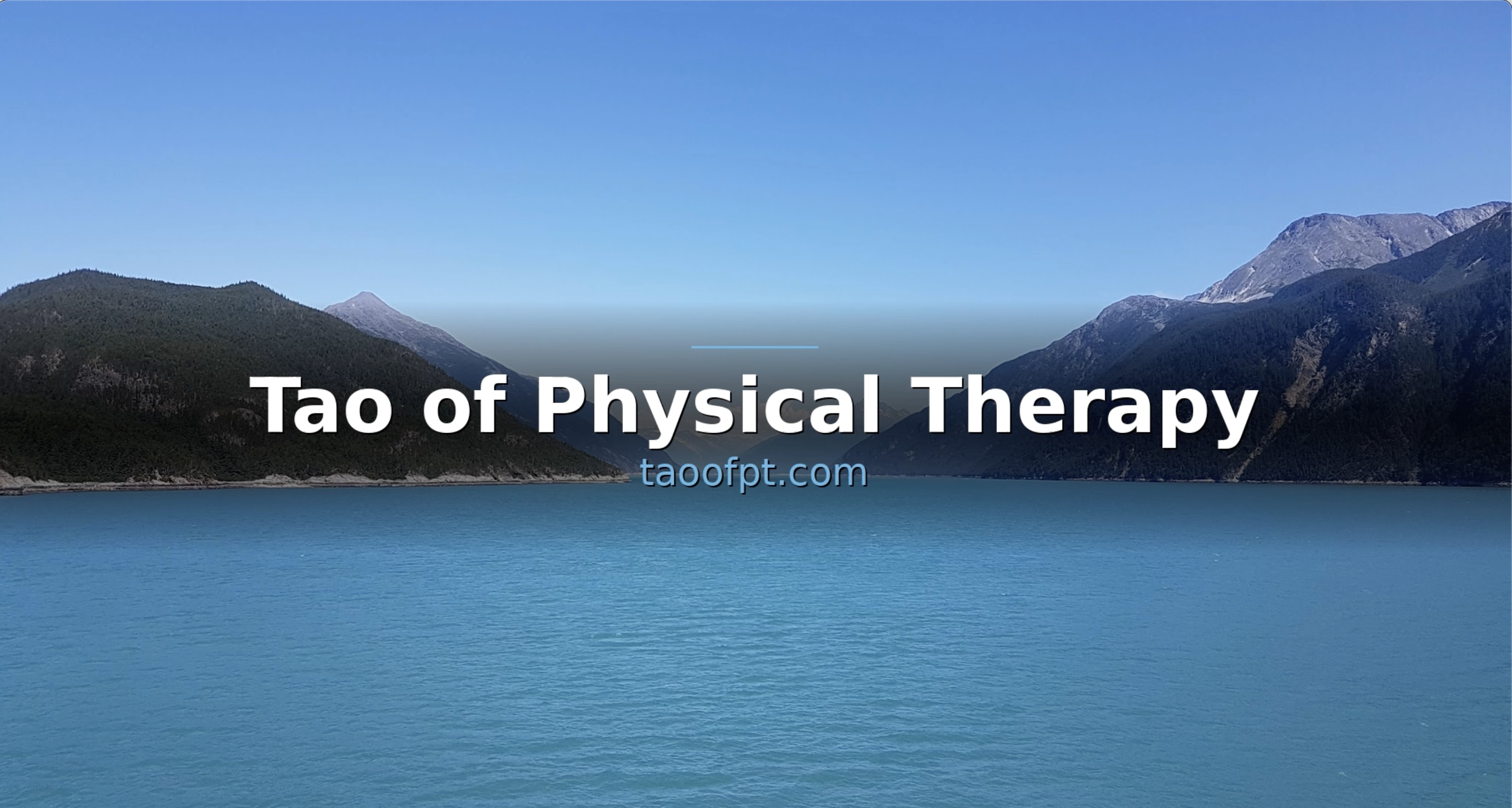 Tao of Physical Therapy logo